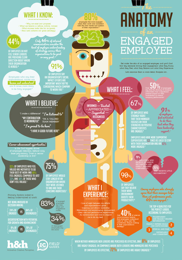 The Anatomy of an Engaged Employee Employee Engagement IC Field Guide infographic by H&H